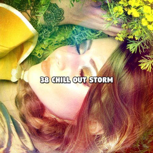 38 Chill Out Storm_poster_image