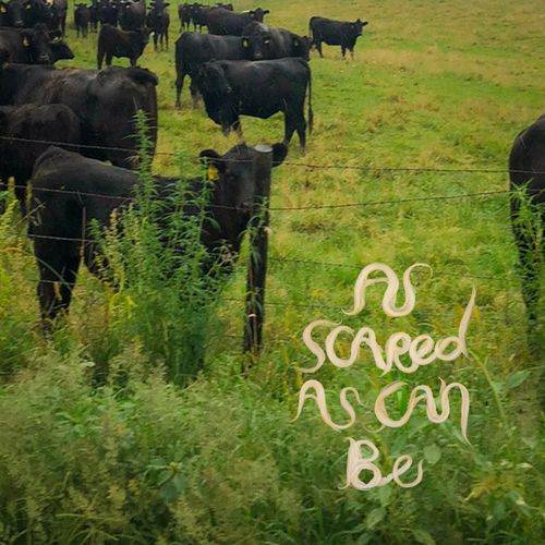 As Scared As Can Be cover art