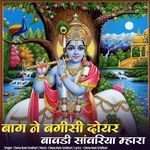 बाग़ ने बगीसी दोयर बावडी़ सांवरिया म्हारा