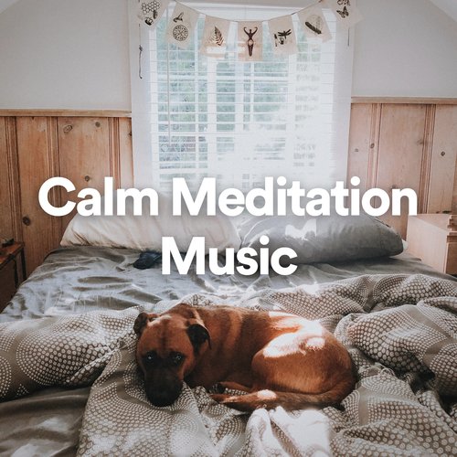 Calm Meditation Music_poster_image