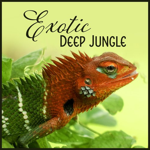 Exotic Deep Jungle (Tropical Rainforest Sounds for Relaxation)_poster_image