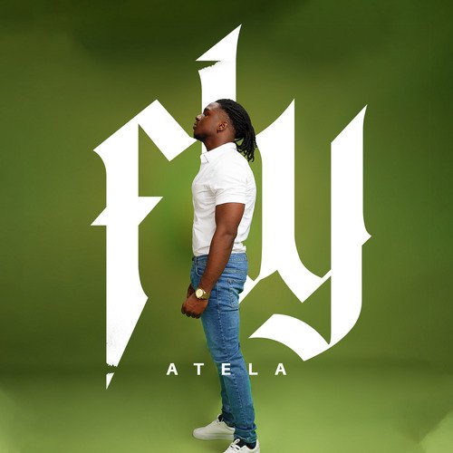 Fly - Song Download from Fly @ JioSaavn