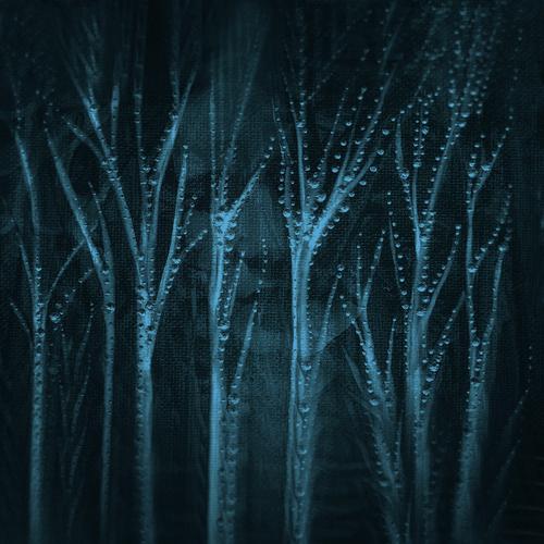 Forest Voice