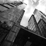 The Graceful Whisper Ring