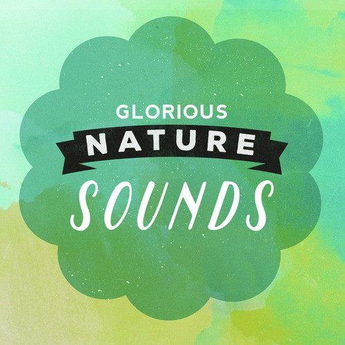 Glorious Nature Sounds