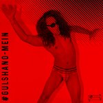 Gulshano Mein artwork