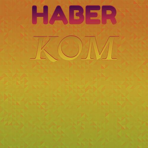 Haber Kom