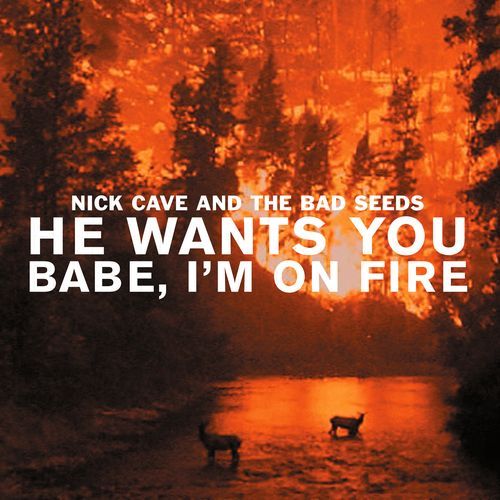 He Wants You / Babe, I'm on Fire