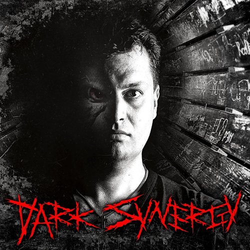 Dark Synergy cover art