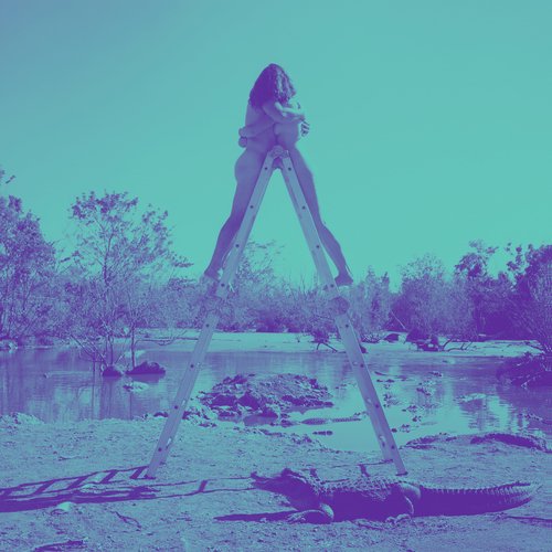 Limits of Desire (10 Year Anniversary Reissue)