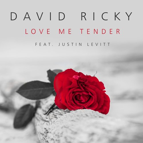 Love Me Tender_poster_image