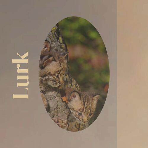 Boucle cover art