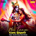 Mai Laaya Rang Basanti