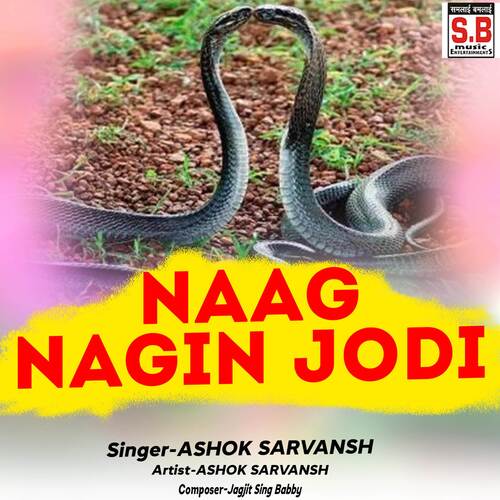 Naag Nagin Jodi