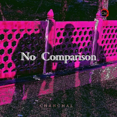 No Comparison