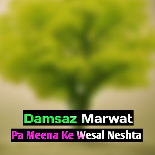 Pa Meena Ke Wesal Neshta