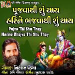 Pujva Thi Shu Thay Harine Bhajva Thi Shu Thay