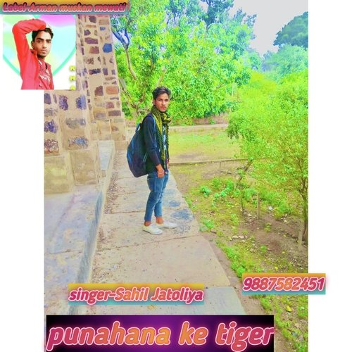 Punhana ke tiger