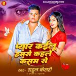 Pyar Kailu Hamse Kahale Kasam Se