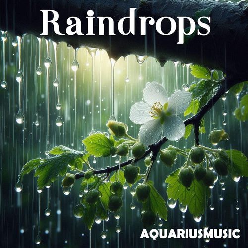 Raindrops