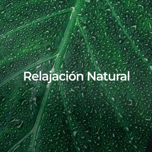 Relajación Natural: Música y Sonidos Para Dormir_poster_image