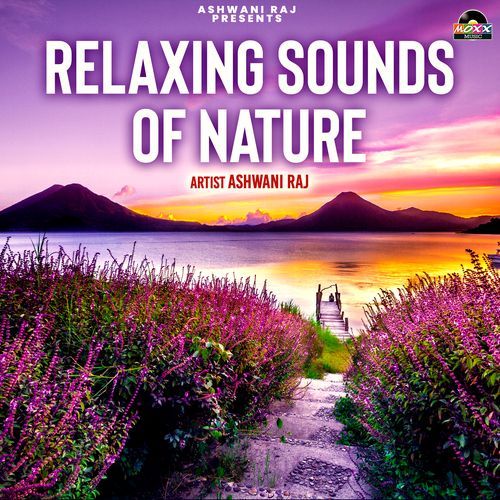 Relaxing Sounds Of Nature