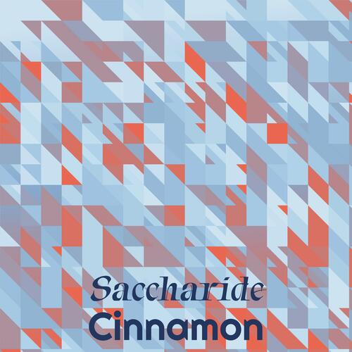 Saccharide Cinnamon cover art