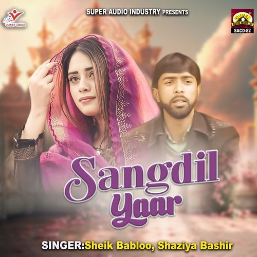 Sangdil Yaara Moun Hila Pharai