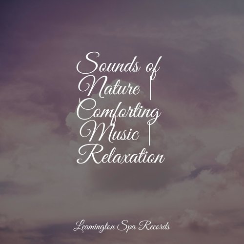 Lake Reflection cover art
