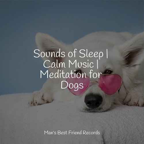 Sounds of Sleep | Calm Music | Meditation for Dogs