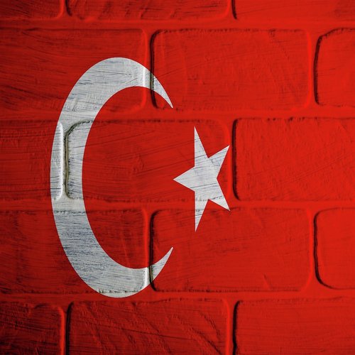 Tek Bayrakta Türk'üz cover art