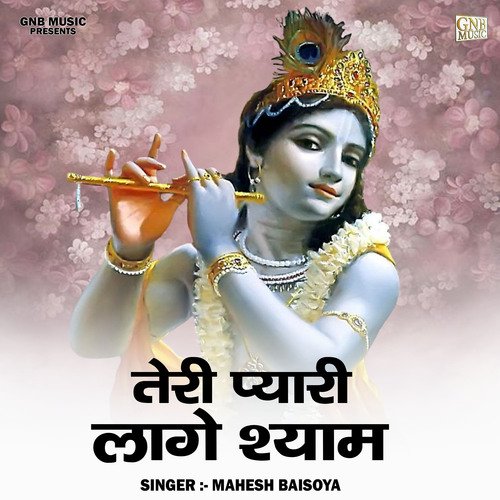 Teri pyari lage shyam (Hindi)