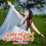 Tu chhod Gai jab Se Tera Aashiq rota Hai
