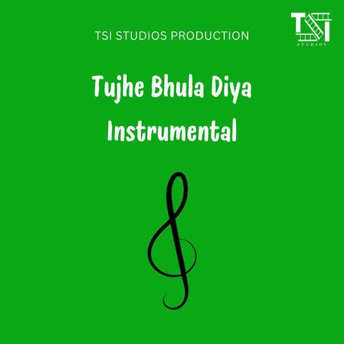 Tujhe Bhula Diya Instrumental