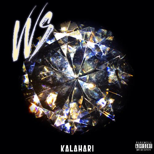 V.V.S cover art