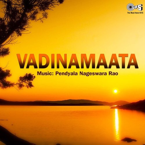 Vadinamaata