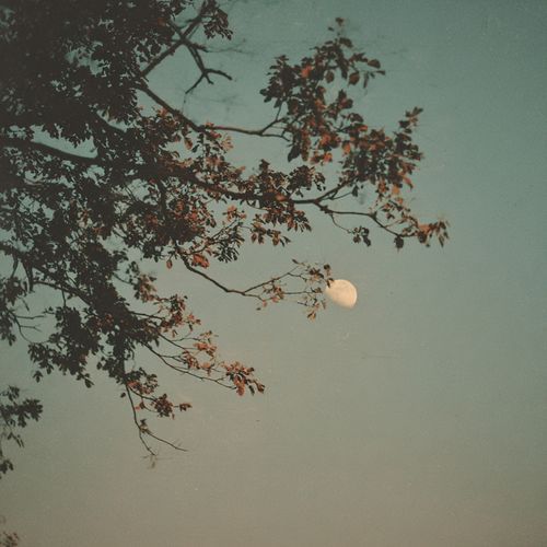 lunar ball