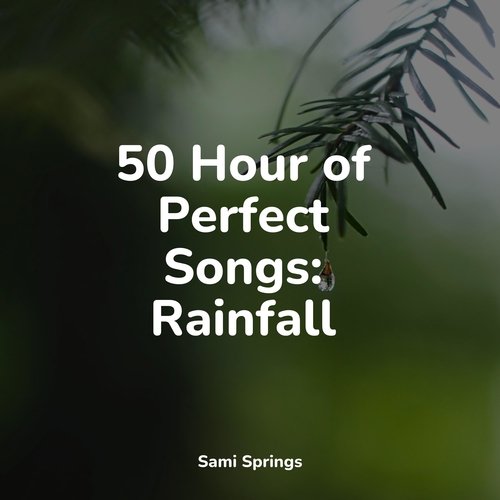 Rain, Storm and Thunder cover art