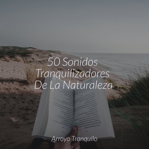 50 Sonidos Tranquilizadores De La Naturaleza