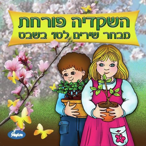 אשכוליות