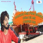 आँखों में प्यार भरा गम दिल में छुपाते है
