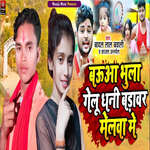 Bauaa Bhula Galu Badavar