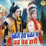 Bhole Tere Parvat Pe Chadh Chadh Hari