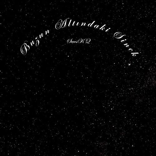 Buzun Altındaki Sinek cover art