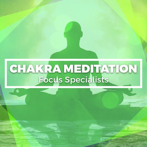 Chakra Meditation Focus Specialists