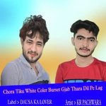 Chora Tiku White Coler Burset Gjab Thara Dil Pe Lag (Rajasthani)