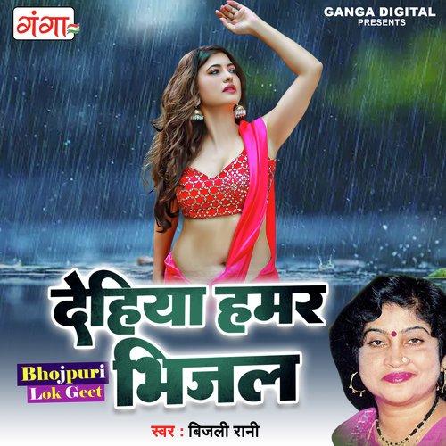 Dehiya Hamar Bhijal_poster_image