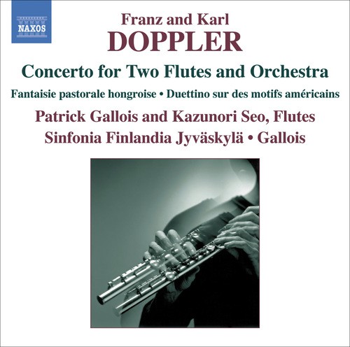 Concerto for 2 Flutes in D Minor: III. Allegro
