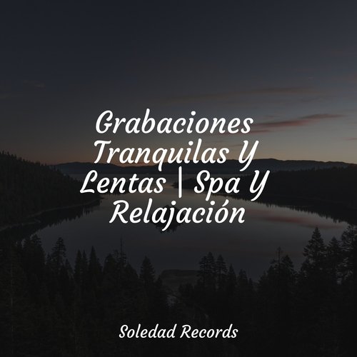 Grabaciones Tranquilas Y Lentas | Spa Y Relajación_poster_image