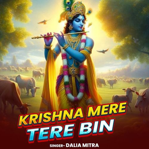 Krishna Mere Tere Bin